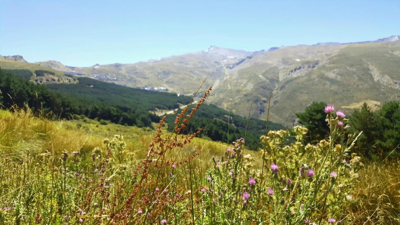 Duplex Acogedor Con Vistas Y Garaje Opcional Apartman Sierra Nevada Kültér fotó